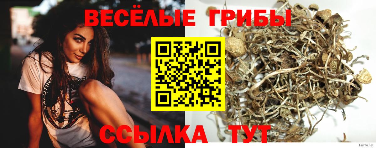 Псилоцибиновые грибы Psilocybine cubensis  Вход с VPN  Советская Гавань 