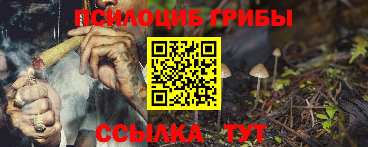 Псилоцибиновые грибы ЛСД Советская Гавань