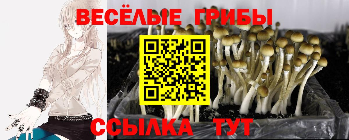 Канабис  Cocaine  Вейп ТГК  Советская Гавань  COCAIN  Гашиш  МЕФ кристаллы  Вход с VPN  Alpha-PVP СК кристаллы 